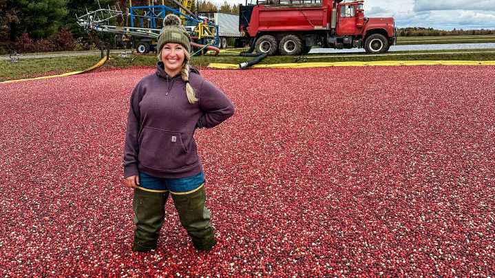 A viral lie about spiders is really bugging cranberry farmers