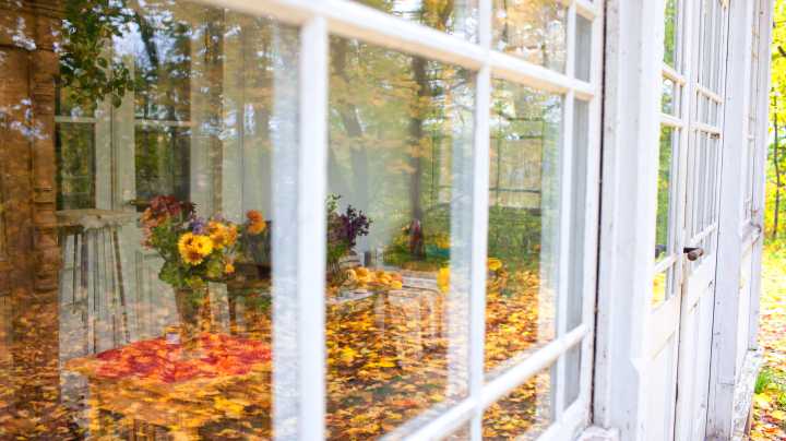 The Fall Window Cleaning Task That Helps Let In More Light During Dark Winter Days