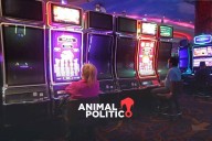 Hacienda detecta 13 casinos presuntamente vinculados con lavado de dinero