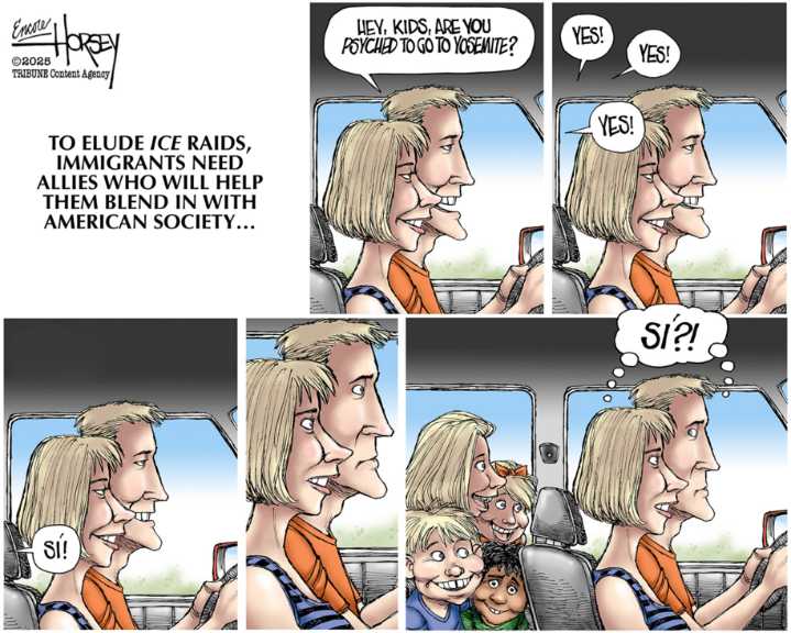 Cartoon: Allies needed