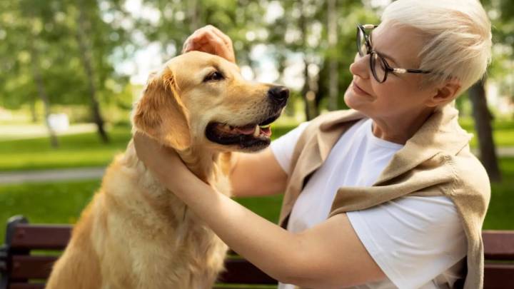Los humanos y los golden retrievers comparten raíces genéticas en la conducta y las emociones, según un estudio