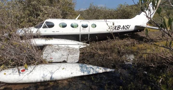 Se desploma avioneta en Jalisco; piloto sobrevive y logra ser rescatado