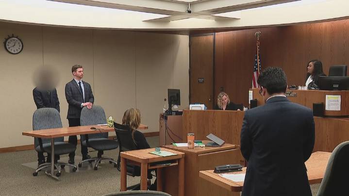 Man pleads not guilty in case connected to viral video of dog slammed to ground