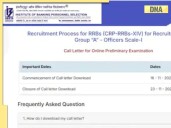 IBPS RRB Prelims Exam 2025 admit card released on ibpsreg.ibps; how to download?