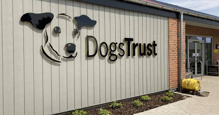 Dogs Trust Darlington named Jackson's charity of the year