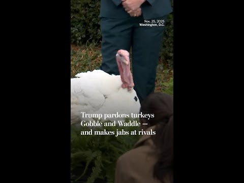 Trump pardons turkeys Gobble and Waddle — and makes jabs at rivals