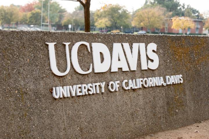 Sacramento woman charged over incident at UC Davis Turning Point USA event in April