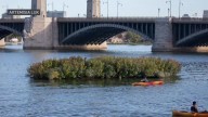 Floating wetland on Charles River goes away for winter