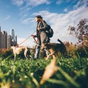 Weekend Picks – November 14th