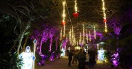 El espectaculo 'La Navidad en el Jardín de las Maravillas' en el Jardín Botánico, en imágenes