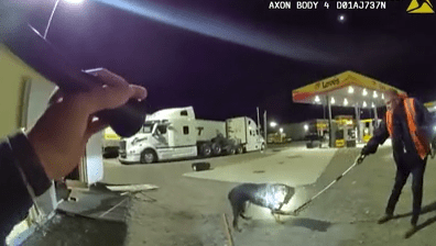 Clayton police chief defends decision on officers' shooting dog at truck stop