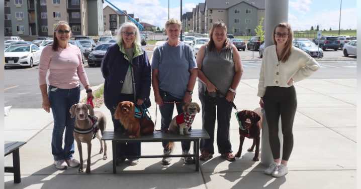 Pawsitive Impact: Alliance of Therapy Dogs