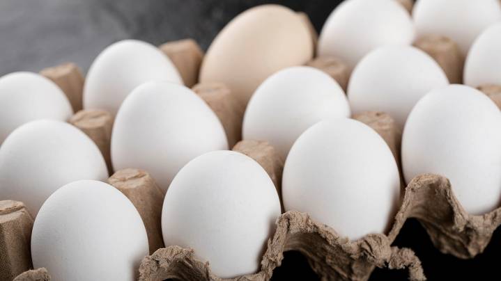 Mantiqueira USA acquires Hickman’s Egg Ranch