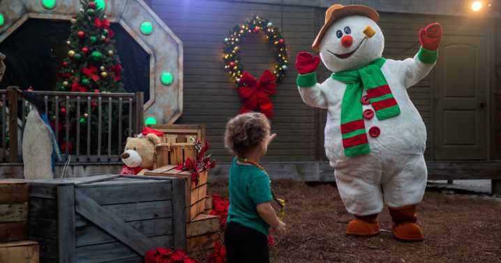 Things to do in Tampa Bay this weekend