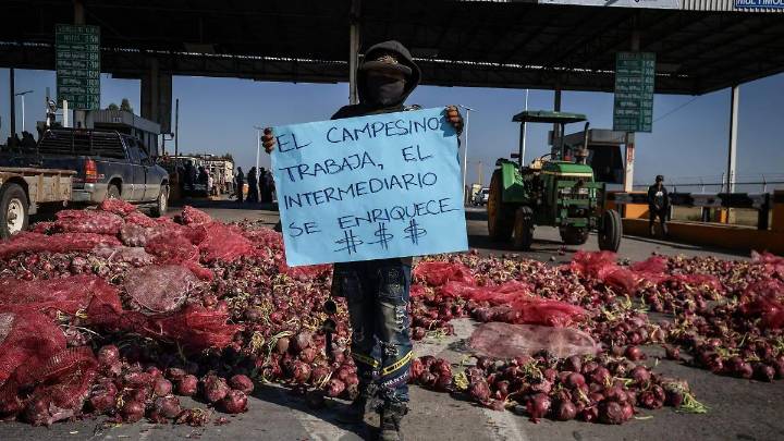 No hay recursos suficientes para cumplir con el precio garantía que exigen los agricultores: Sheinbaum