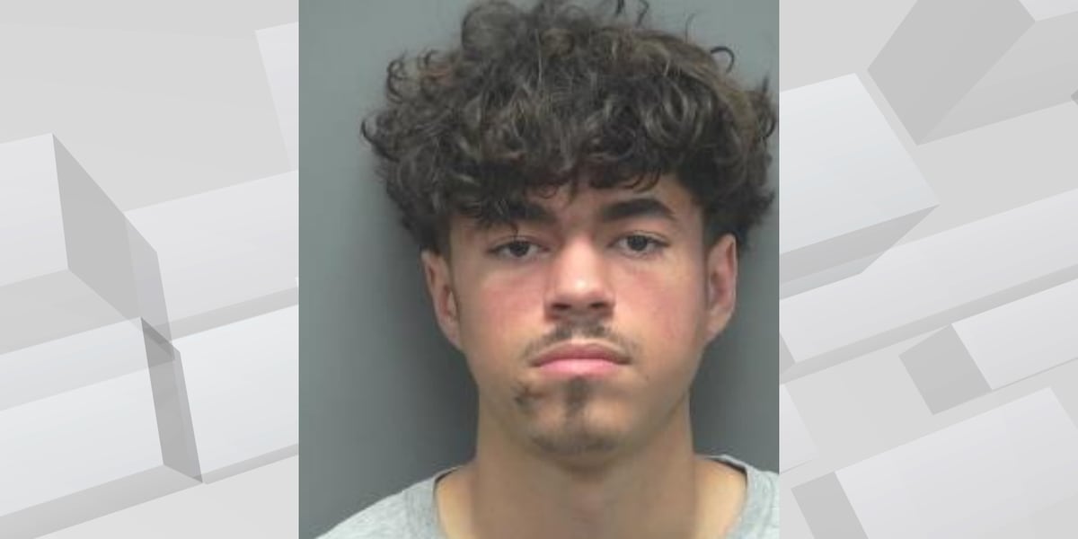 Teen driver pleads not guilty in deadly Rock County crash