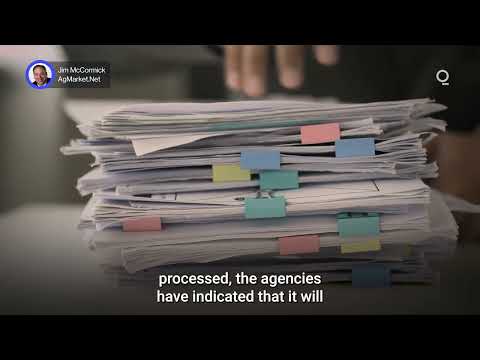 Grain Traders Fly Blind After Data Blackout