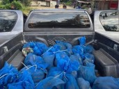 Recataron a 143 macacos en dos operativos de tráfico de fauna: estaban envueltos en bolsas azules