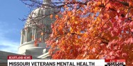 Organization working to improve Missouri veterans' Mental Health