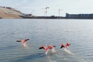 Lento avance. La obra que podría convertirse en el elefante blanco más austral del mundo