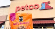 Wet Noses Introduces New Soft Baked Treats at Petco