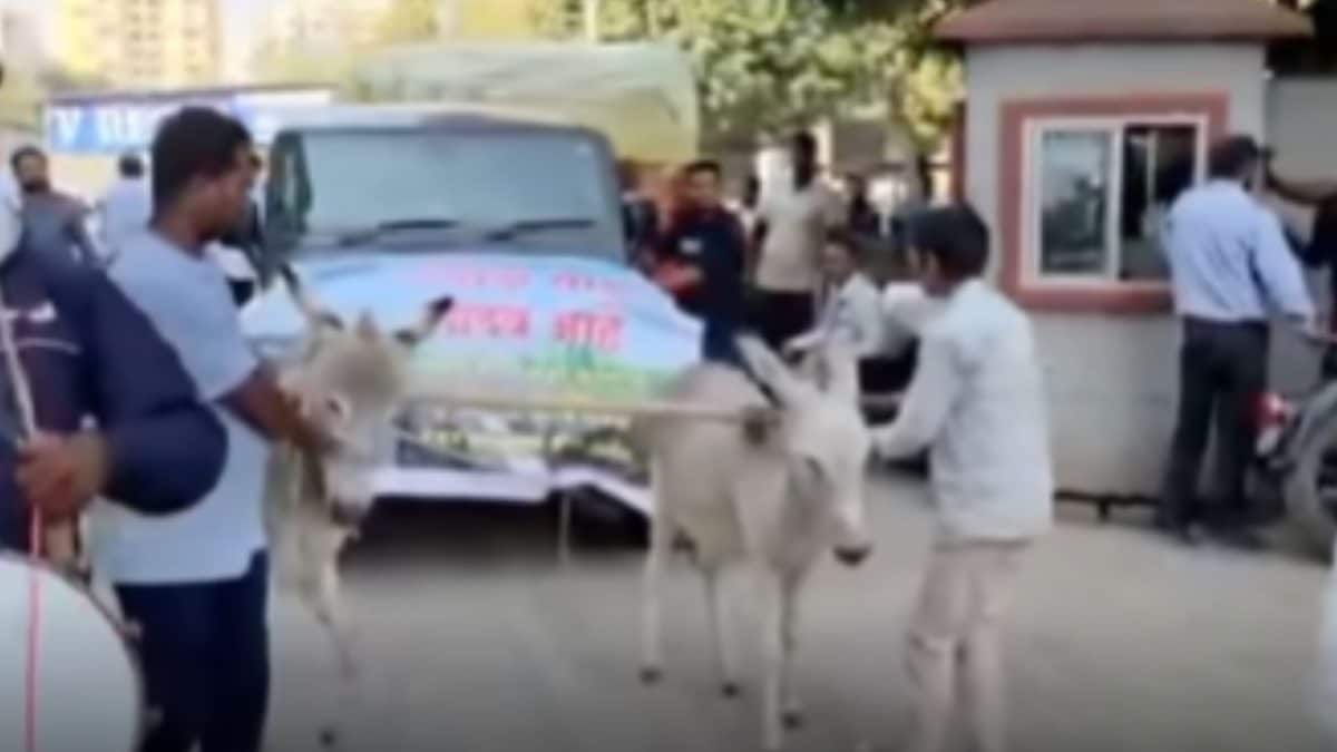 Maharashtra Man Tows Mahindra Thar With Donkeys In Dramatic Protest, Faces Backlash: ‘Book Him For Animal Cruelty’