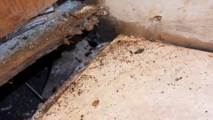 Inquilina denuncia vivir en condiciones insalubres en San José