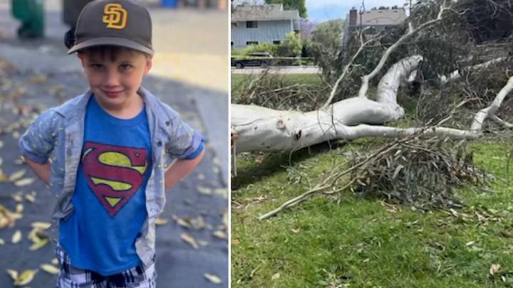 Family suing city of San Diego after boy killed by fallen branch