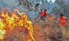 Incendios forestales se activan en Abancay en medio de un inusual veranillo