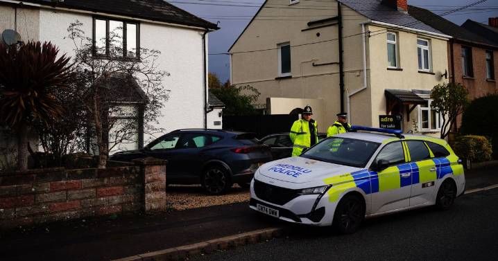 Nine-month-old baby killed in dog attack after animal 'spooked by fireworks'