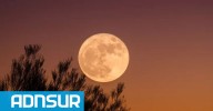 19:38 Superluna gigante en noviembre: todo lo que tenés que saber para disfrutar de un espectáculo único