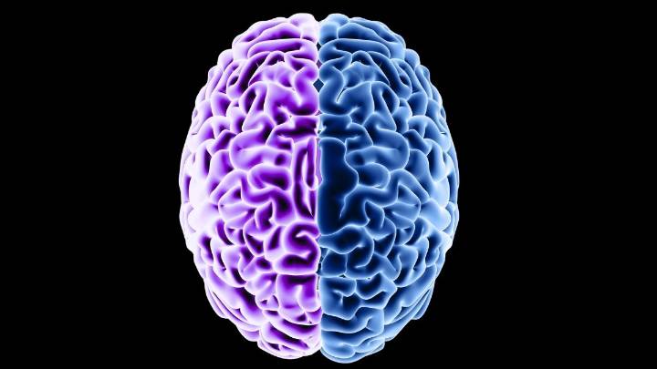 Aging Scrambles Brain Proteins – And Diet Could Partly Reverse It