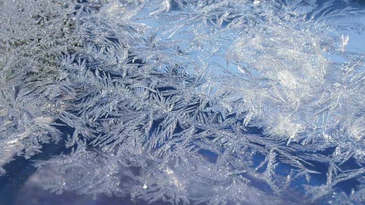 Evening Briefing Tampa November 11 2025