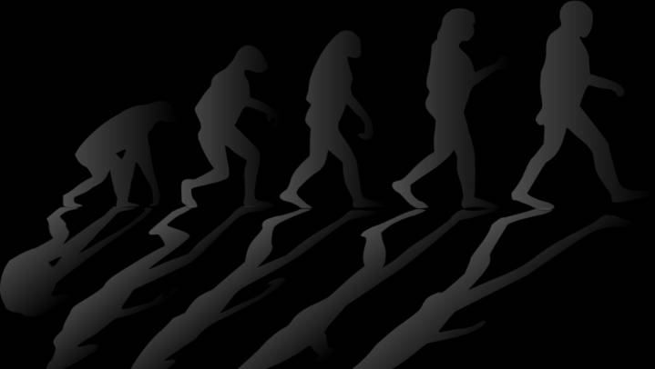 Local Mom Suspended For Teaching Evolution in Home School