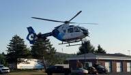Woman Airlifted After Dog Attack In Quinton Twp: NJSP