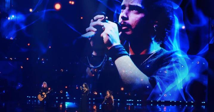 Soundgarden, Cyndi Lauper y White Stripes fueron incorporados así al Salón de la Fama del Rock & Roll