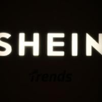 French fraud watchdog reports Shein for 'childlike' sex dolls