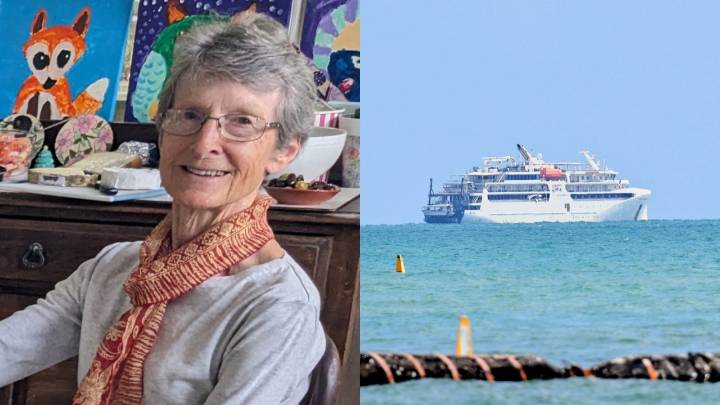NRMA spent 12 months developing safety protocol 'deep dive' before 80-year-old's tragic Lizard Island cruise ship death