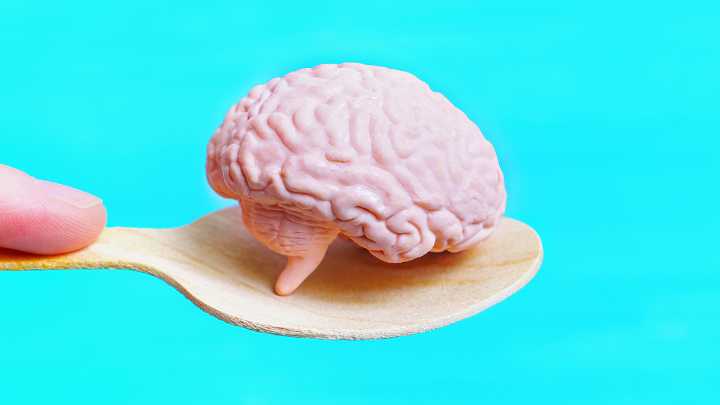 Breakthrough Helps Scientists Grow More Realistic Human Brain Models