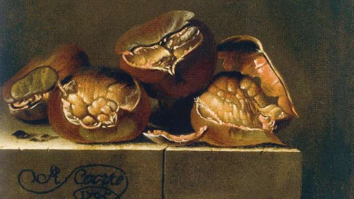 From Dior Invitations to Dolomite Spa Treatments, Chestnuts Are So Back