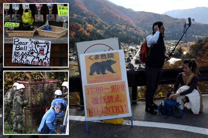 Japanese tourist village battles to keep bears at bay