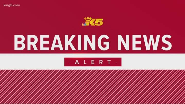 Amber Alert canceled for two girls last seen near Montesano