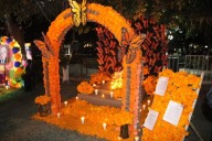 Galería.- ¡Color y tradición por el festival del Día de Muertos!