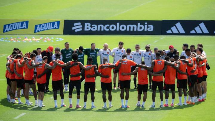 Estos son los grandes ausentes en la convocatoria de la selección Colombia para la fecha FIFA de noviembre