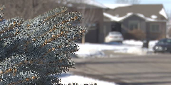 What you need to know about Seasonal Affective Disorder