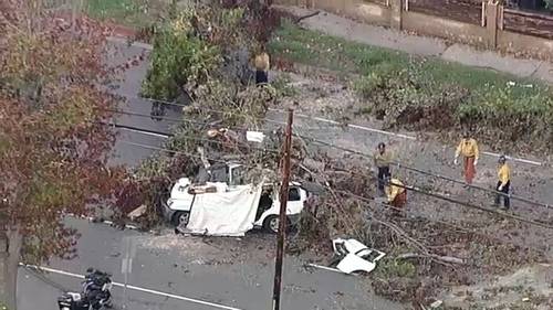 Muere persona tras caída de un árbol sobre varios vehículos en Winnetka