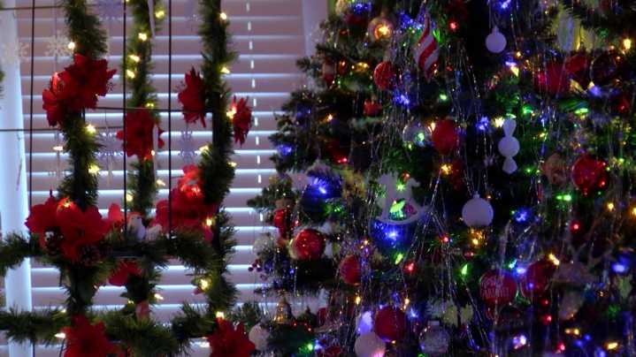 Hutchinson home celebrates Christmas with more than 40 decorated trees