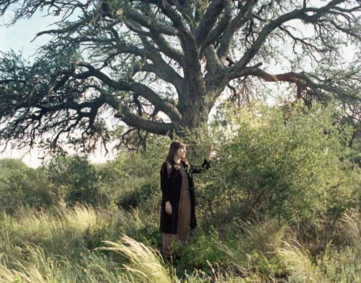 “Morpho Azul”: un cortometraje pampeano que deslumbra con su universo poético y perturbador