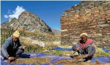 124 Border Villages being developed under Vibrant Villages Programme