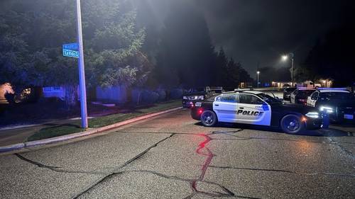 Man and woman found dead in apparent murder-suicide in Visalia identified